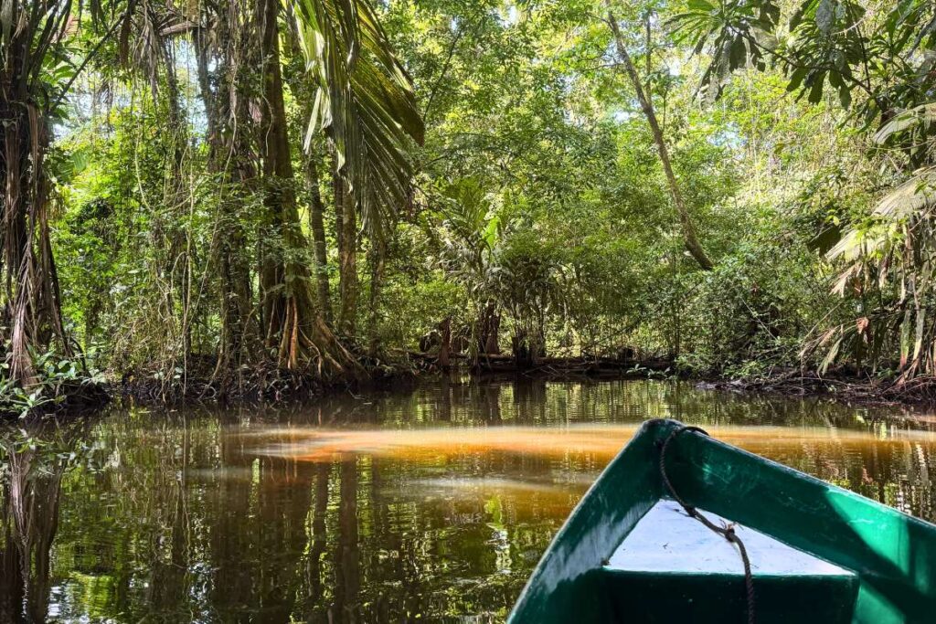 Kano tour door Tortuguero National Park