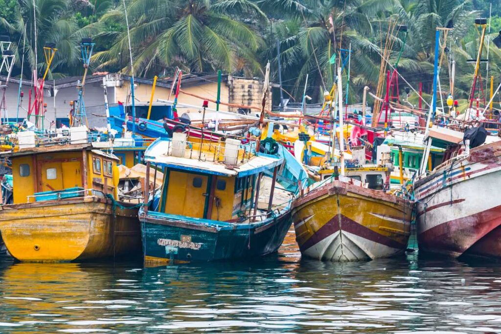 Wat te doen in Mirissa, Sri Lanka