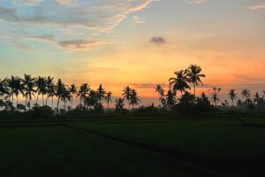 Waarom Ubud het mooiste plekje van Bali is
