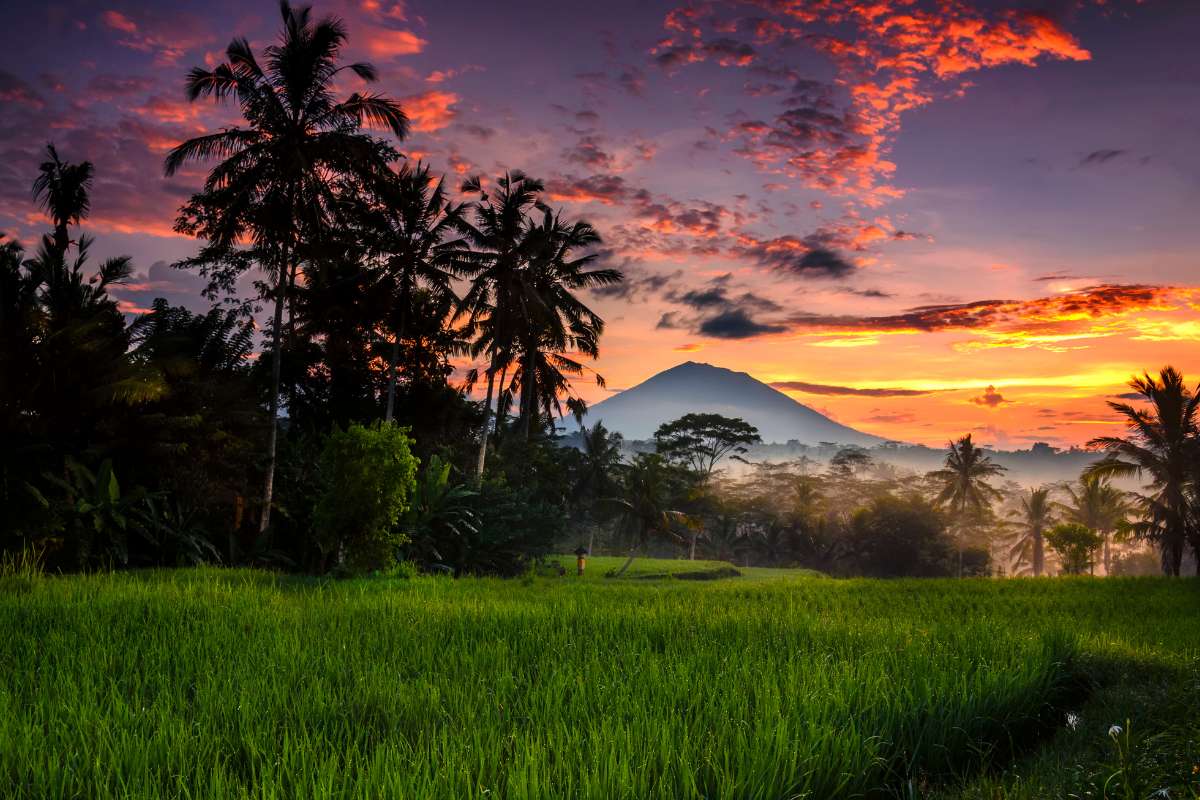 Zonsondergang in de rijstvelden van Ubud met de Mount Batur op de achtergrond