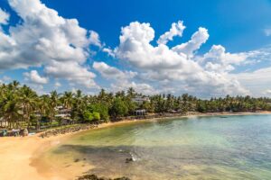 Wat te doen in Mirissa, Sri Lanka